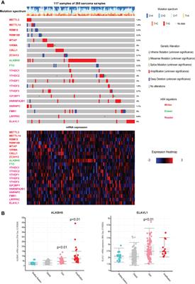 Comprehensive Analysis of Regulatory Networks of m6A Regulators and Reveals Prognosis Biomarkers in Sarcoma